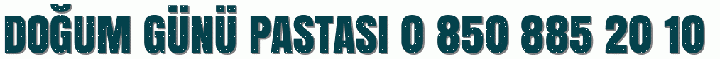 Tokat Doğum günü pastası siparişi 0 850 885 20 10