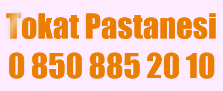 tokat pasta doğum günü pastası yolla gönder