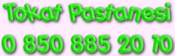 tokat yaş pasta yolla gönder yaş pasta siparişi ver